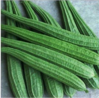 Turiya / Ridge guord (500gms)